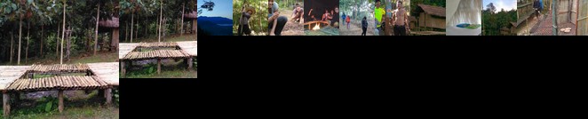 Watchara organic farm