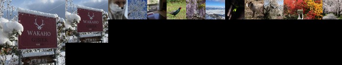 Shinshu Wakaho Gibier B&B