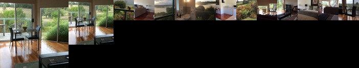 Forrest Willy Wagtail Studio