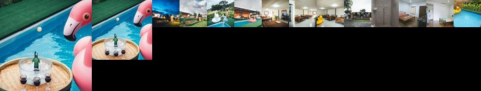 Raccoon Camping@Khao Kho