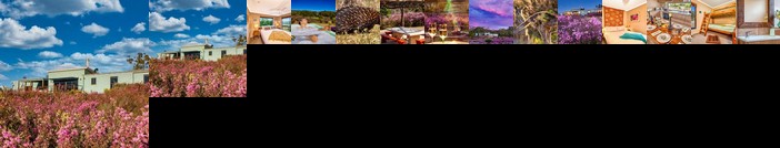 Tea Tree Hollow - 50 percent off third night on weekend