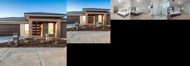 119 Breath Of The Forest In The Heart Of Clyde