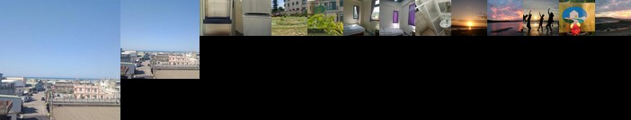 Nurture of Nature Farm