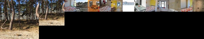 Appartement _Feng Shui _ Apricum_