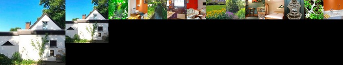 Panta Rhei Holstein - 119804