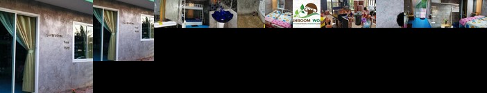 Mushroom World Homestay