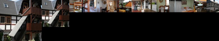 Pferd - Spass - Entspannung