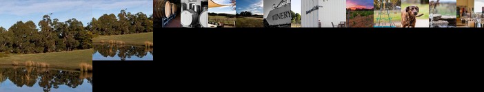 Double Oaks Tiny House