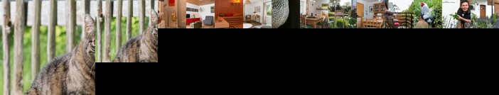 Ferienwohnung Stein Alterkulz