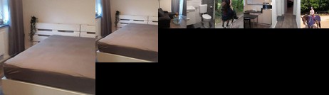 Ferien & Monteurswohnung auf dem Pferdehof Nutteln