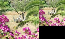 45 Carrer Assagador Apartment Torro