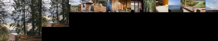 Maison et sauna dans les bois