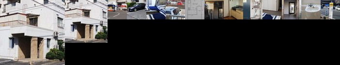 Cherry Blossom Koseicho