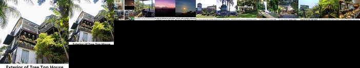 Tree Top House Tamborine Mt-Romantic Entire Apartment+Stunning Views