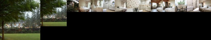 Morilive Hotel Resort