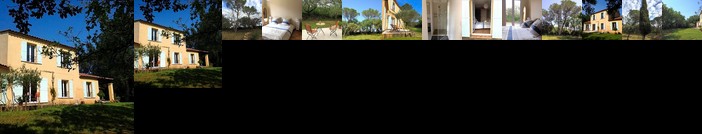 Les marguerites Vers-Pont-du-Gard