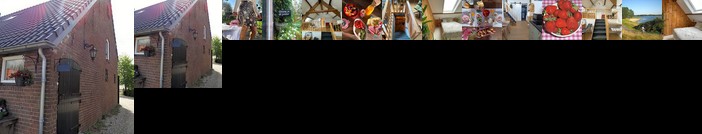 B & B 'Droom in de polder'- luxe op de boerderij