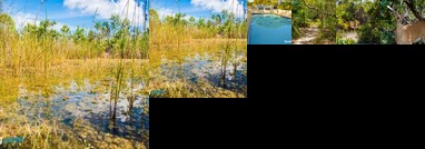 Wildlife and confort