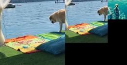 Badehaus am Woerthersee