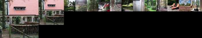 Een OASE op de Veluwe