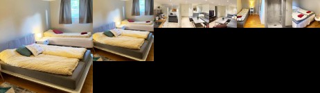 Newly renovated basement apartment