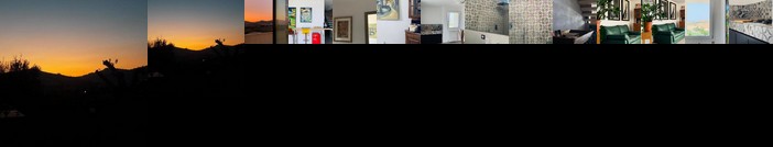 Gli ulivi della Valle dei Templi