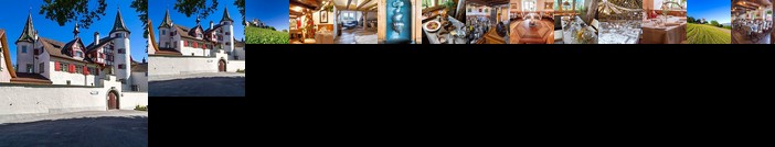 Romantik Restaurant Schloss Weinstein