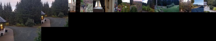 Woodlands Guest Suite