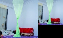 Homestay - Maua House 2