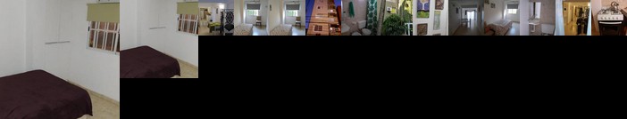 Los pajaros y el rio