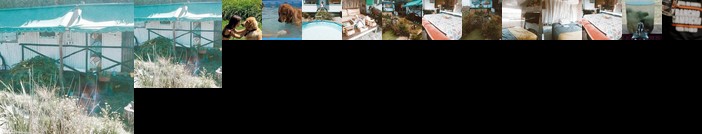 Rancho Cambicha Hostel de Campo