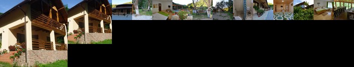 Pensiunea Lupul Dacic