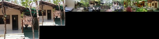 Ipe Turismo Sustentavel