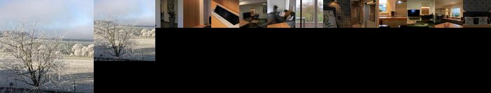 Les Pantoufles dans le Pre