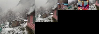 A Home in Woods - Camping