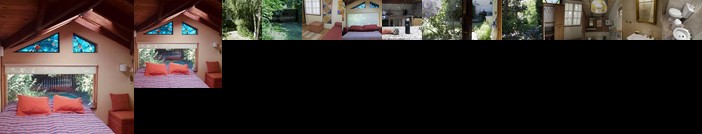 Cabana entre Arboles