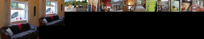 Twin Owls Dingle Peninsula