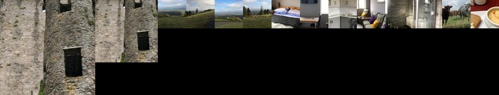 Homestay - The Collins on the Hill