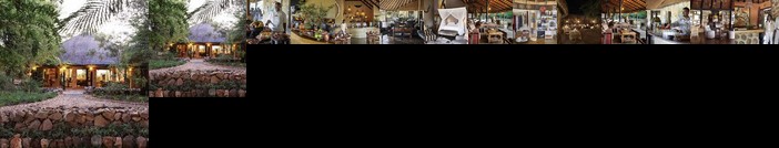 Motswari Private Game Reserve - Timbavati