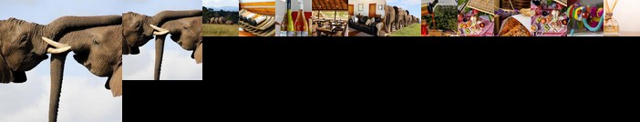 Knysna Elephant Park Lodge