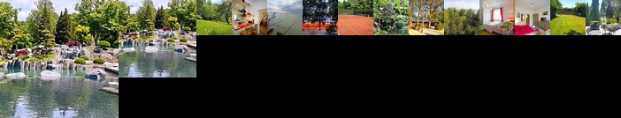 Zanka Vizparti Ueduelo