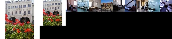 Hotel Zlaty Andel Zatec