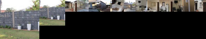 Lazy Gecko Accommodation