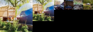 Thudi-nids en bulles