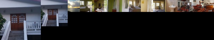 A Peace of Paradise Moule a Chique