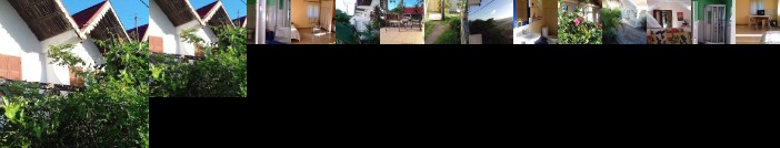 Le Tournesol Tolanaro