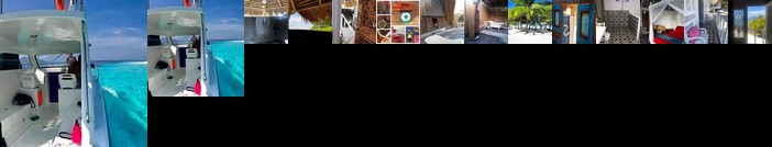 Eco dive resort Alycastre