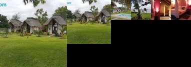 Estrela Do Mar Benguerra Island Bazaruto