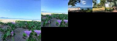 Cameron Island Resort