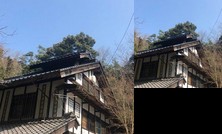 Cats Guest House Hiroshima